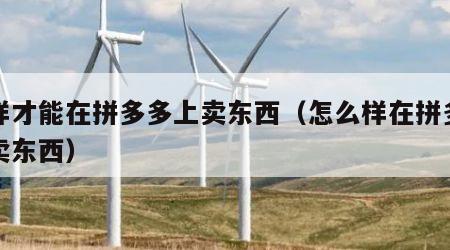 怎样才能在拼多多上卖东西（怎么样在拼多多上卖东西）