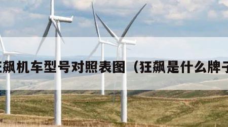 狂飙机车型号对照表图（狂飙是什么牌子）