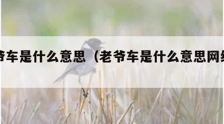 老爷车是什么意思（老爷车是什么意思网络用语）