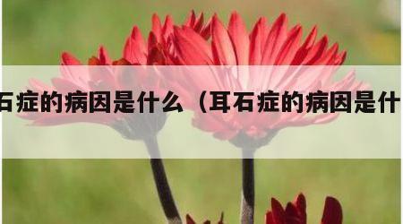 耳石症的病因是什么（耳石症的病因是什么?）