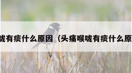 喉咙有痰什么原因（头痛喉咙有痰什么原因）