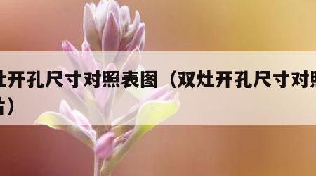 双灶开孔尺寸对照表图（双灶开孔尺寸对照表图片）