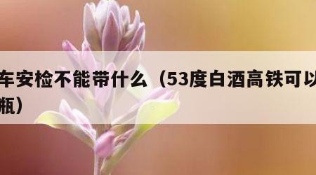 动车安检不能带什么（53度白酒高铁可以带几瓶）
