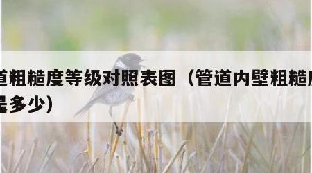 管道粗糙度等级对照表图（管道内壁粗糙度一般是多少）