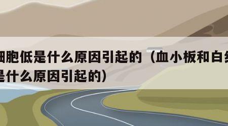 白细胞低是什么原因引起的（血小板和白细胞低是什么原因引起的）
