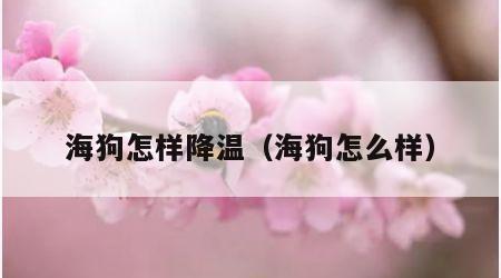 海狗怎样降温（海狗怎么样）
