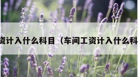 工资计入什么科目（车间工资计入什么科目）