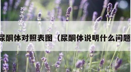 尿酮体对照表图（尿酮体说明什么问题）