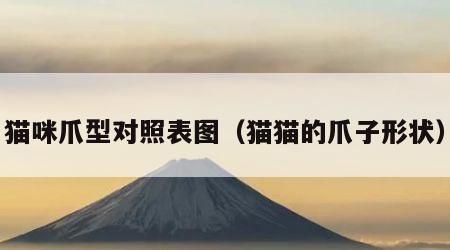 猫咪爪型对照表图（猫猫的爪子形状）