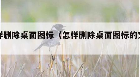 怎样删除桌面图标（怎样删除桌面图标的文字）