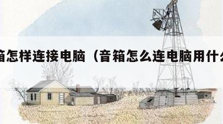 音箱怎样连接电脑（音箱怎么连电脑用什么接线）