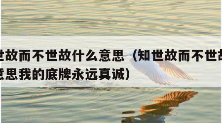 知世故而不世故什么意思（知世故而不世故什么意思我的底牌永远真诚）