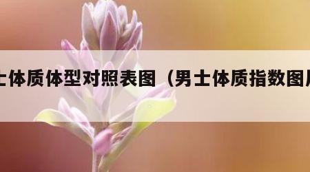 男士体质体型对照表图（男士体质指数图片对照）
