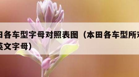 本田各车型字母对照表图（本田各车型所对应的英文字母）