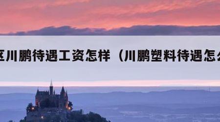 园区川鹏待遇工资怎样（川鹏塑料待遇怎么样）