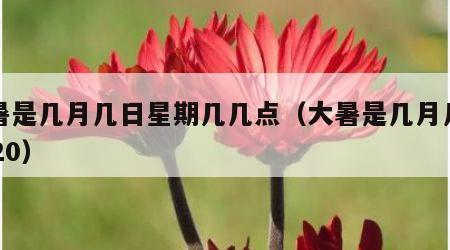 大暑是几月几日星期几几点（大暑是几月几号2020）