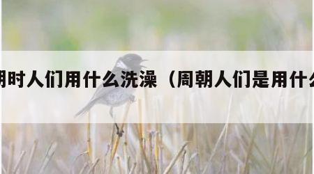 周朝时人们用什么洗澡（周朝人们是用什么洗澡）