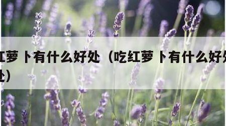 吃红萝卜有什么好处（吃红萝卜有什么好处和坏处）