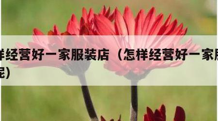 怎样经营好一家服装店（怎样经营好一家服装店呢）