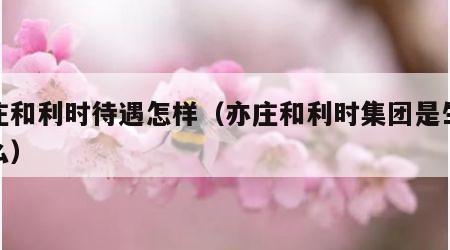 亦庄和利时待遇怎样（亦庄和利时集团是生产什么）
