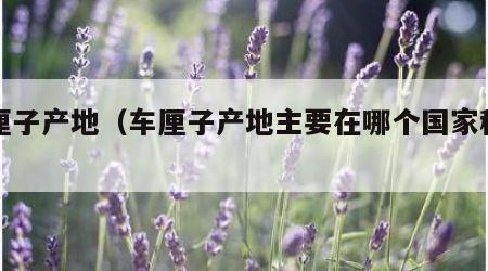 车厘子产地（车厘子产地主要在哪个国家种植）