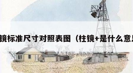 柱镜标准尺寸对照表图（柱镜+是什么意思）