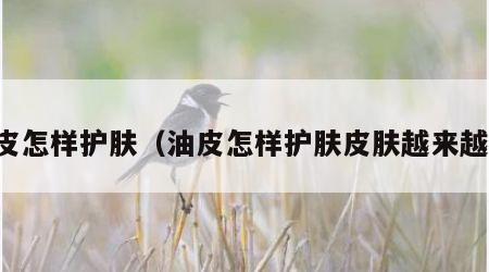 油皮怎样护肤（油皮怎样护肤皮肤越来越好）