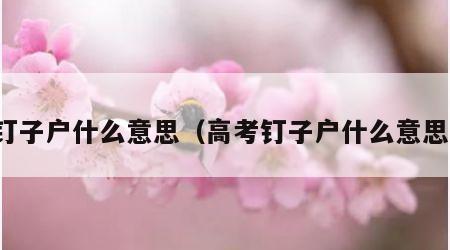 钉子户什么意思（高考钉子户什么意思）