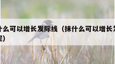 抹什么可以增长发际线（抹什么可以增长发际线呢）