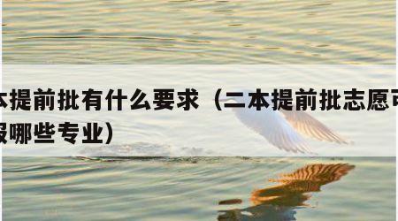 二本提前批有什么要求（二本提前批志愿可以填报哪些专业）