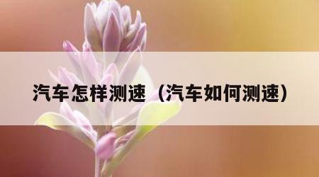 汽车怎样测速（汽车如何测速）