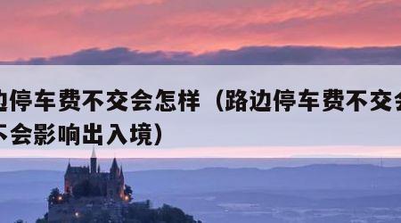 路边停车费不交会怎样（路边停车费不交会怎样不会影响出入境）
