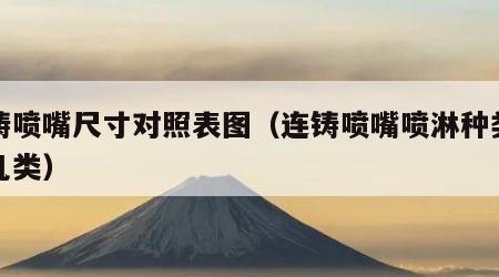连铸喷嘴尺寸对照表图（连铸喷嘴喷淋种类有哪几类）