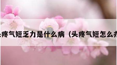 头疼气短乏力是什么病（头疼气短怎么办）