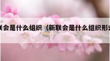 新联会是什么组织（新联会是什么组织形式的）