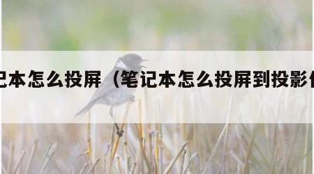 笔记本怎么投屏（笔记本怎么投屏到投影仪上）