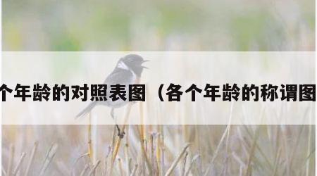每个年龄的对照表图（各个年龄的称谓图表）