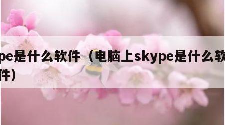 pe是什么软件（电脑上skype是什么软件）