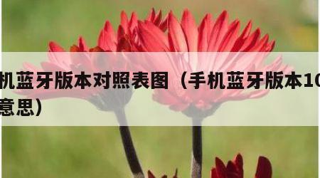 手机蓝牙版本对照表图（手机蓝牙版本10什么意思）