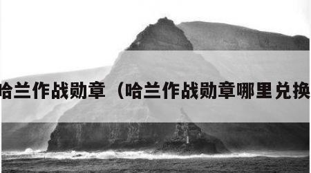 哈兰作战勋章（哈兰作战勋章哪里兑换）