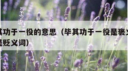 毕其功于一役的意思（毕其功于一役是褒义词还是贬义词）