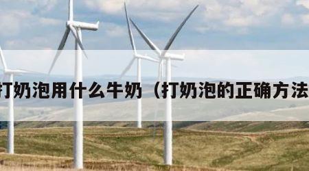 打奶泡用什么牛奶（打奶泡的正确方法）