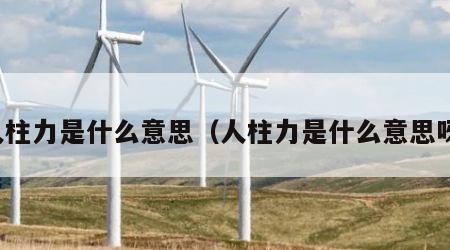 人柱力是什么意思（人柱力是什么意思呀）