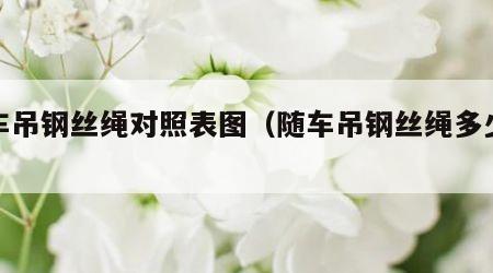 随车吊钢丝绳对照表图（随车吊钢丝绳多少米）