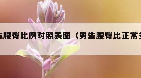 男生腰臀比例对照表图（男生腰臀比正常多少）