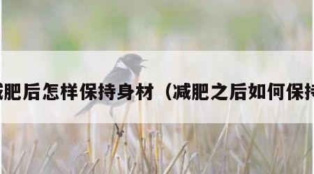 减肥后怎样保持身材（减肥之后如何保持）