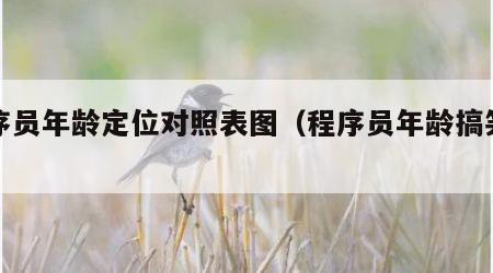 程序员年龄定位对照表图（程序员年龄搞笑图片）