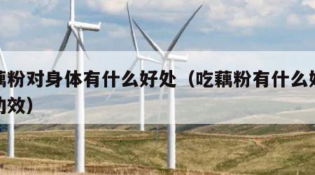 吃藕粉对身体有什么好处（吃藕粉有什么好处和功效）