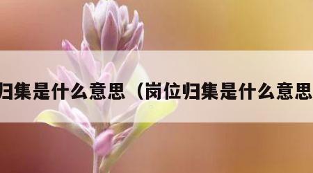 归集是什么意思（岗位归集是什么意思）