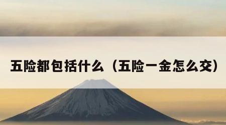 五险都包括什么（五险一金怎么交）